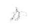 か