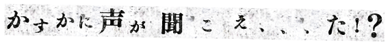 かすかに声が聞こえた…？