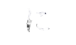 に