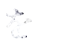 を